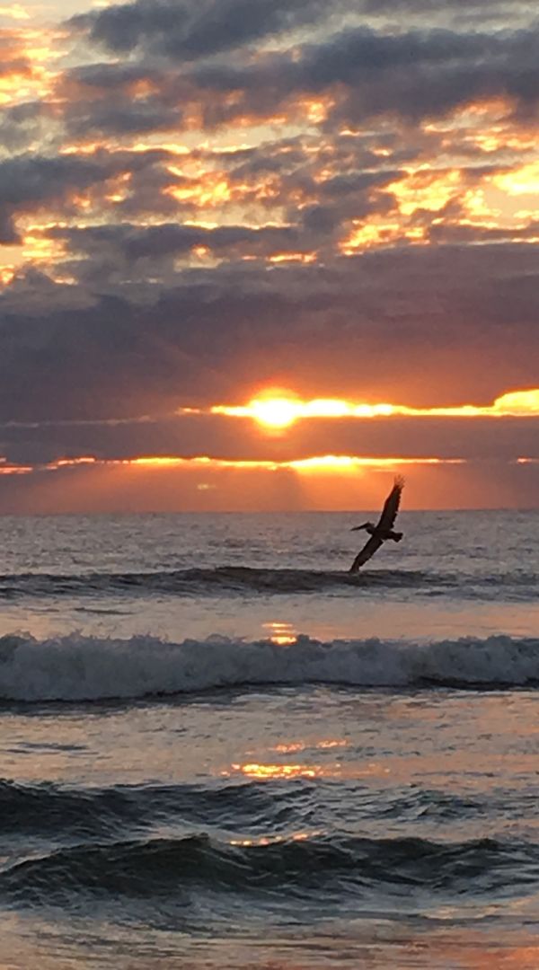 Zuhause in St Augustine Beach