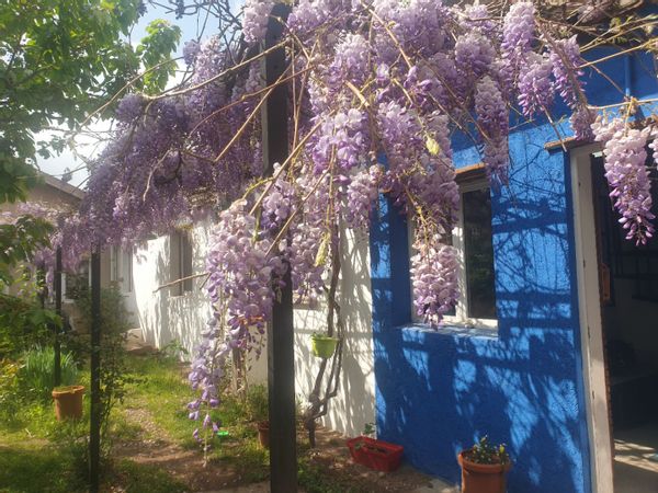 Maison atypique 50 min de Lyon