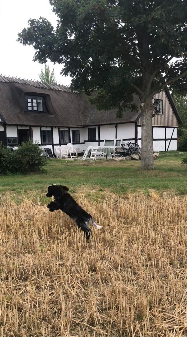Lones hus