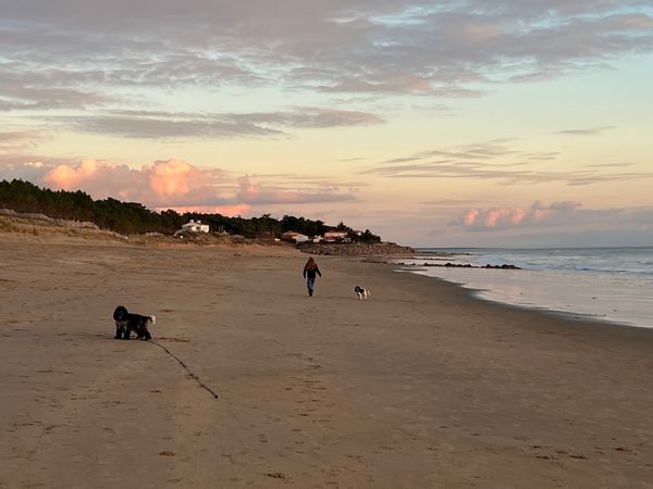 Home in La Tranche-Sur-Mer