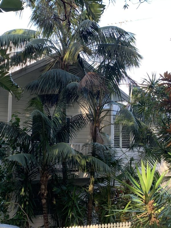 La maison de Olivera and David