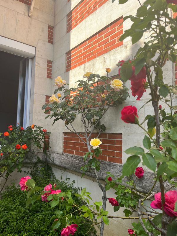 Pascale et Michel's house