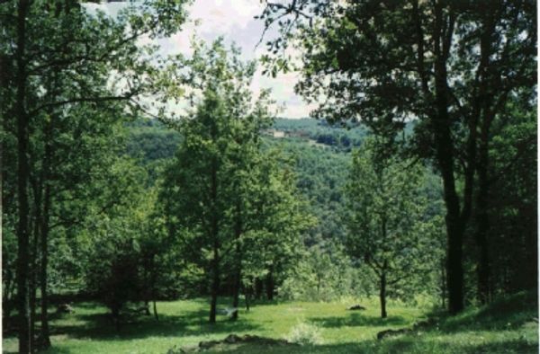 Périgord Noir. 6/7 jours minimum. Pas juillet et août.
