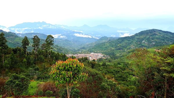 La maison de Daniel & Rosanne
