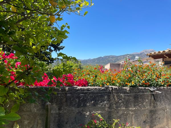 Casa di Ester