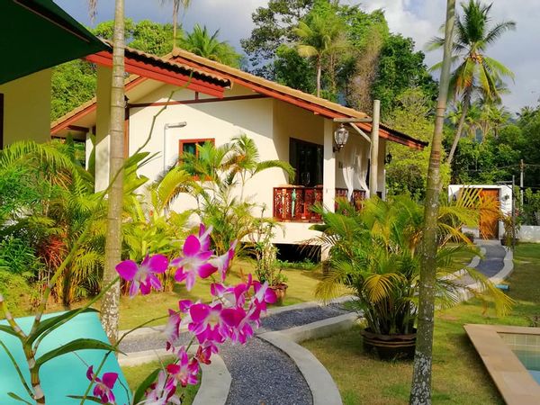 Notre paradis tropical "HAPPINESS"