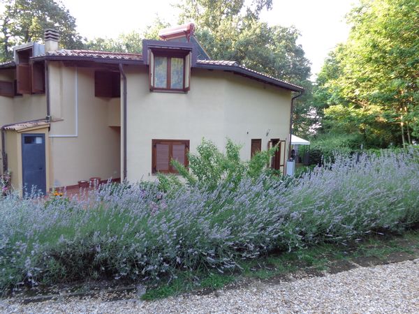 Looking for New Year's Eve.Nice villa near Roma.