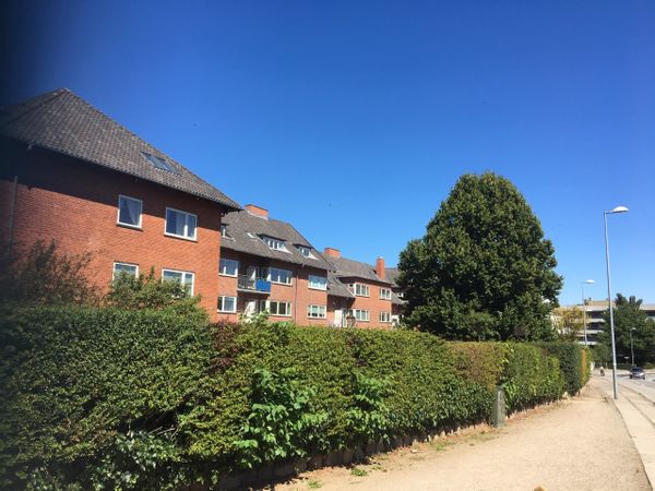 La maison de Line Elk