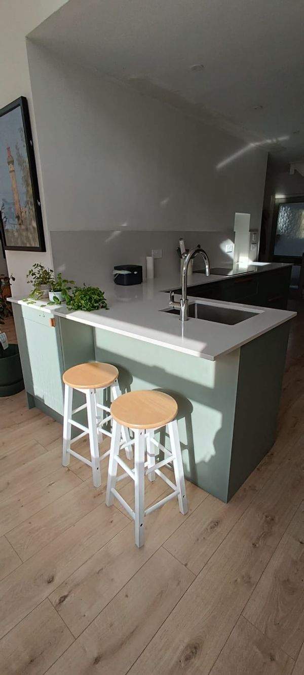 Tania, Fran y Diegos hus