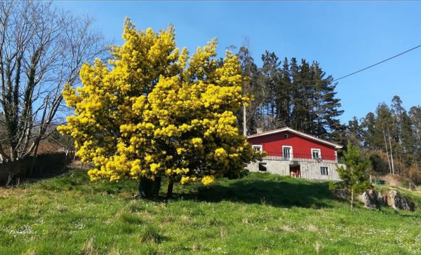 La maison de Fernando