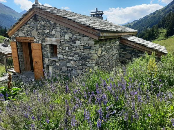 Le Chalet de Carine et Fred