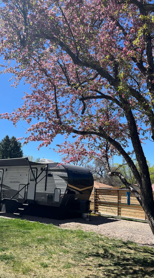 Nancy and Carolyn s Haus