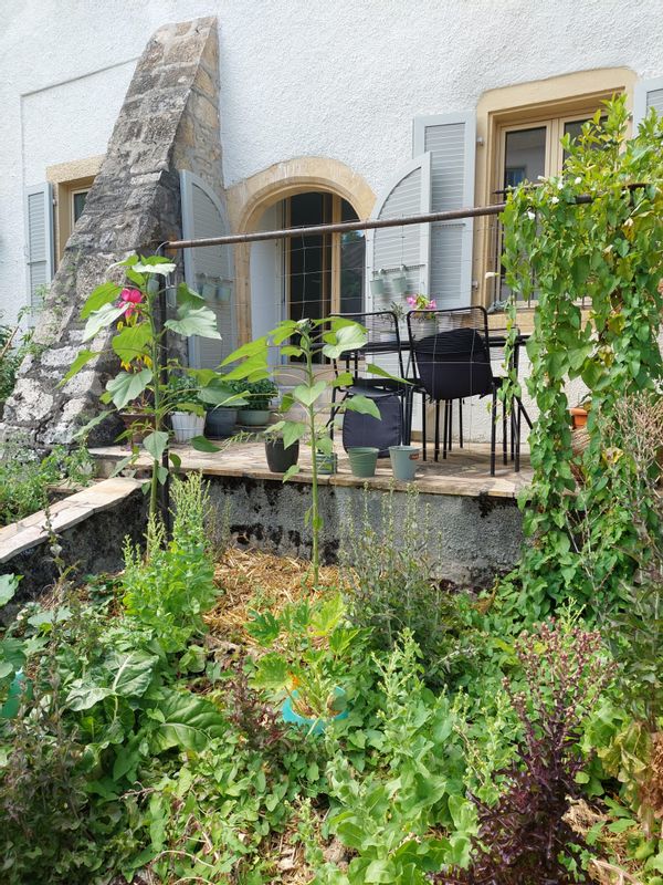 Laetitia's house
