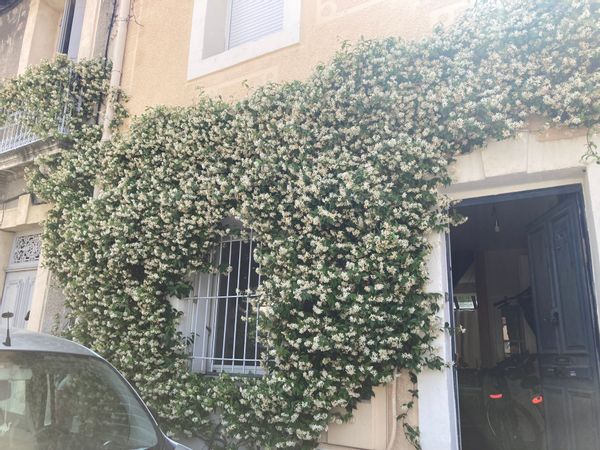 Charmante maison de ville en plein coeur des Arceaux