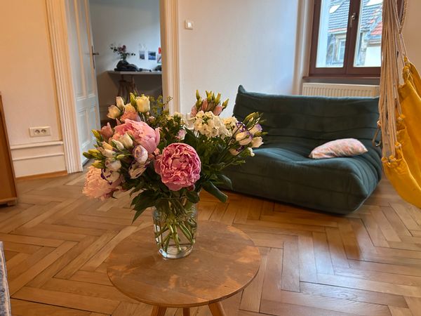 alices hus