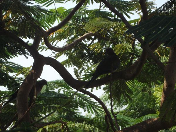 La maison de Paola & Ahmed