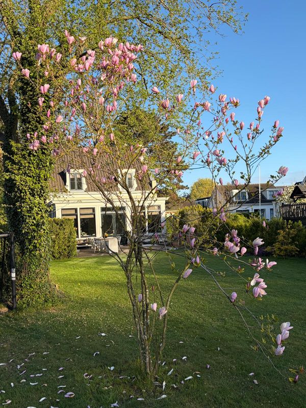 La maison de Fam. Van Den Heuvel