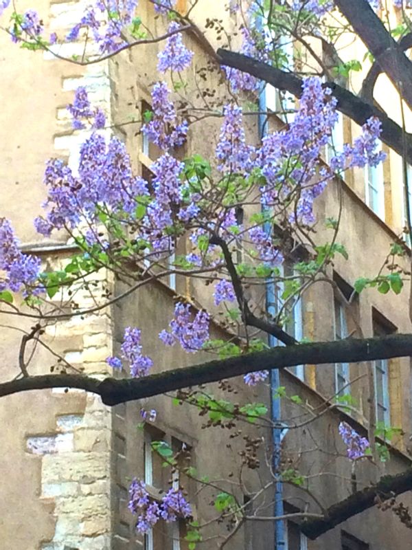 La maison de Pauline