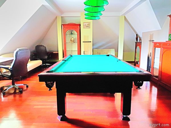 Family apartment with billiard