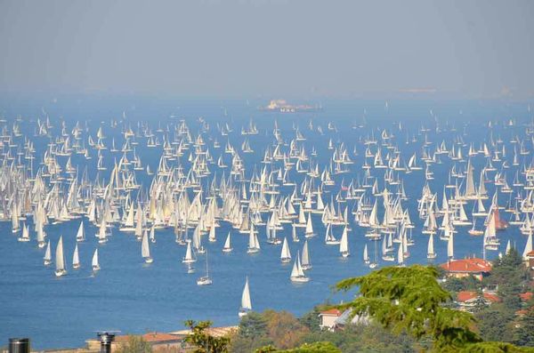 La maison de Ingrid Frizzi