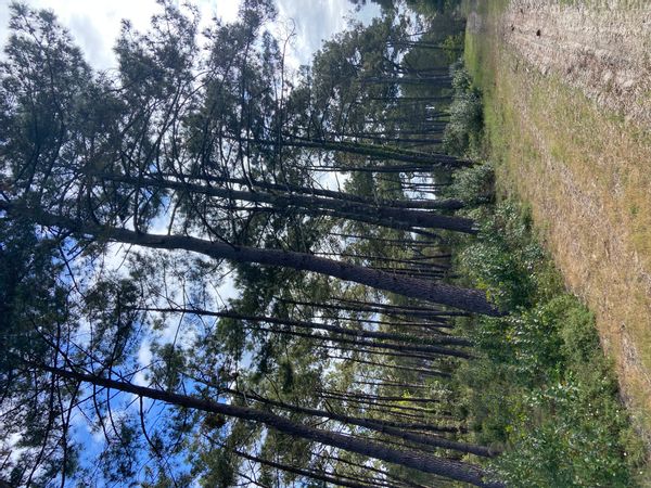 huis van Camille et Nicolas