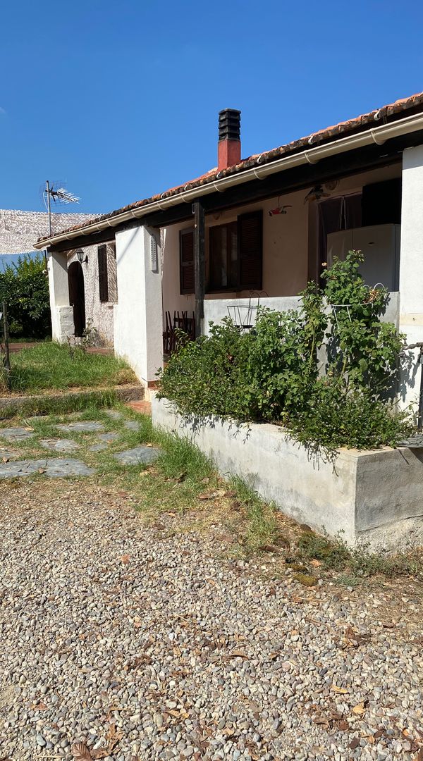 Other in Vescovato, France