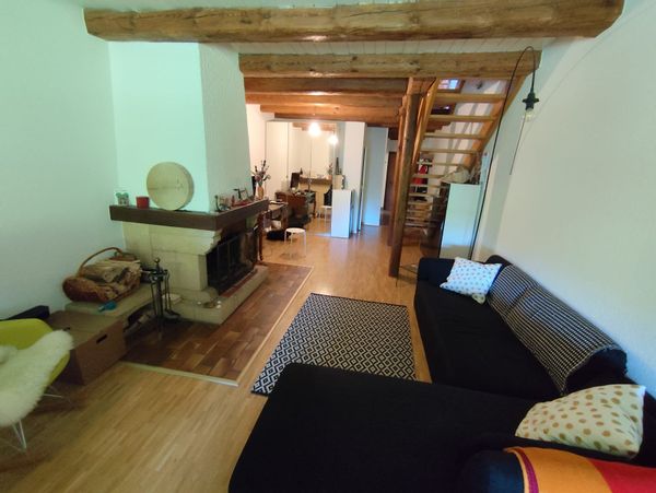 Triplex dans une ferme rénovée, proche de la ville et de la campagne. Accès direct à un grand jardin