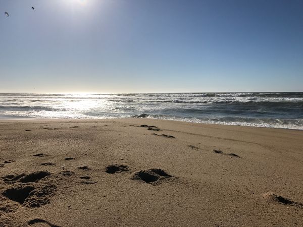 Our House by the Beach