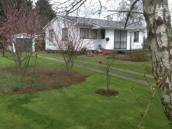 Darren and Bronwyn s Haus