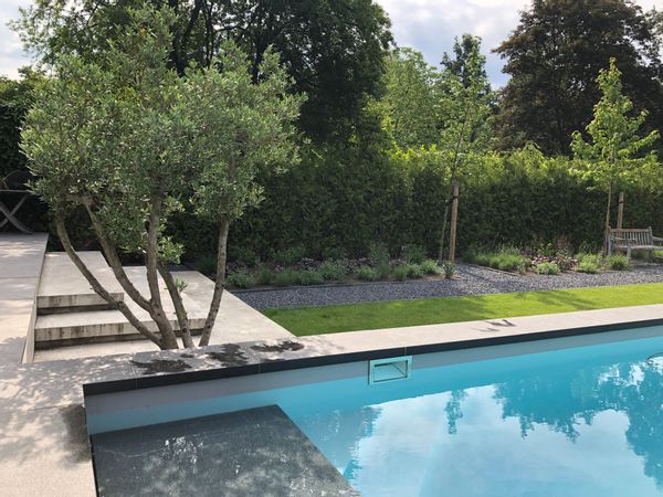 Spacious house with swimmingpool, woods in the backyard!