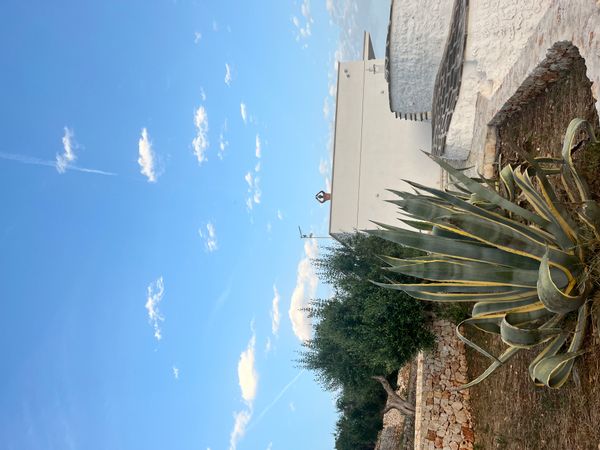 Ostuni Villa in the centuries olives trees