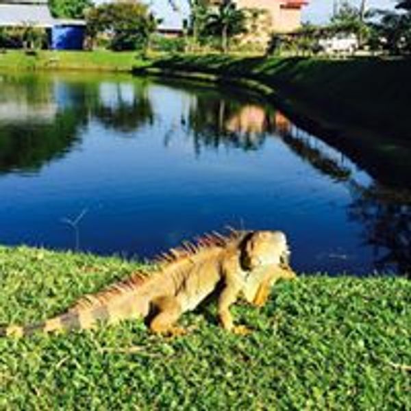 La maison de Marianela