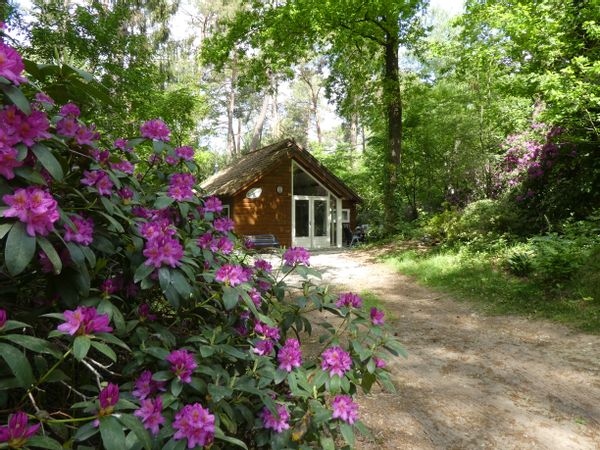 La maison de Martien