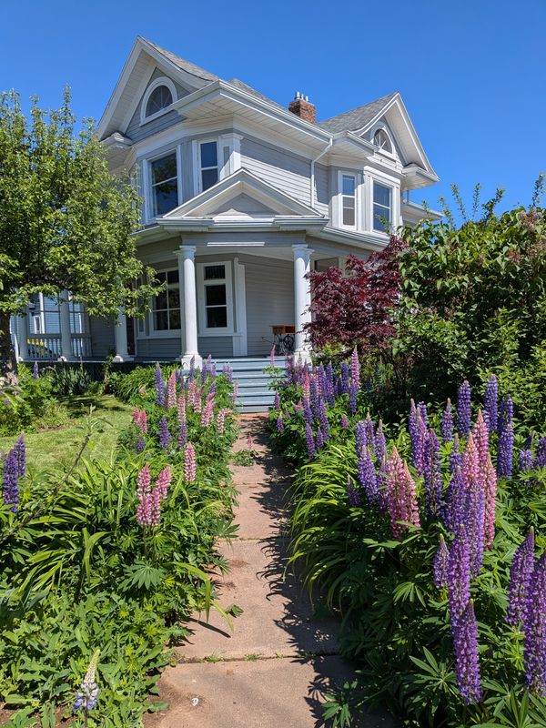 Casa de Maureen