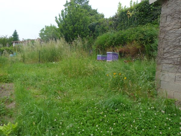 La maison de Julie à 5mn de Mazamet au coeur de l'Occitanie