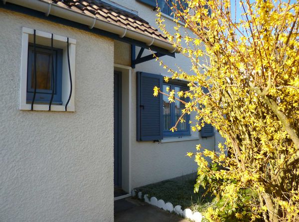 Cosy home in Northern France, (Arras, near Vimy halfway between Paris and Brussel)