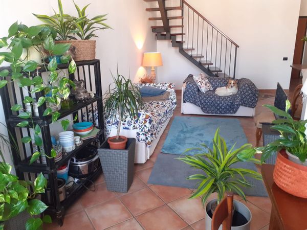 Casa de Vanessa