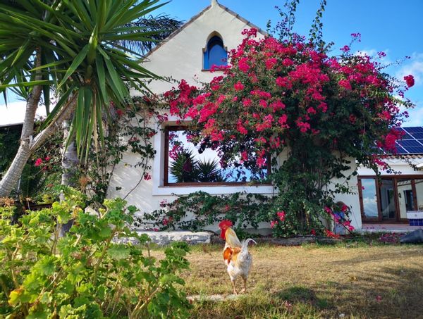 Christina and Pierre's house