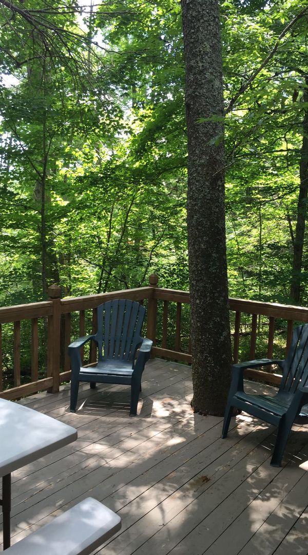 Beautiful cabin in very nice community and close to Blue Ridge Park, Boone and more