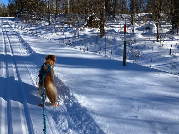 La maison de Pia and Jesper