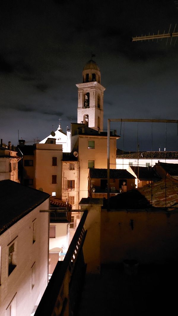 Ancona, Marche, CONERO, ITALY, la gatta sul tetto