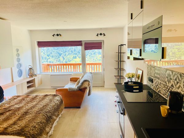 Beautiful, clean, modern and sunny studio apartment with terrace and views of the French Alps
