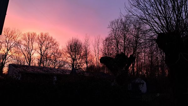 Mon petit paradis