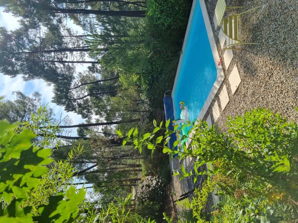 Bastide en Ardèche dans les pins