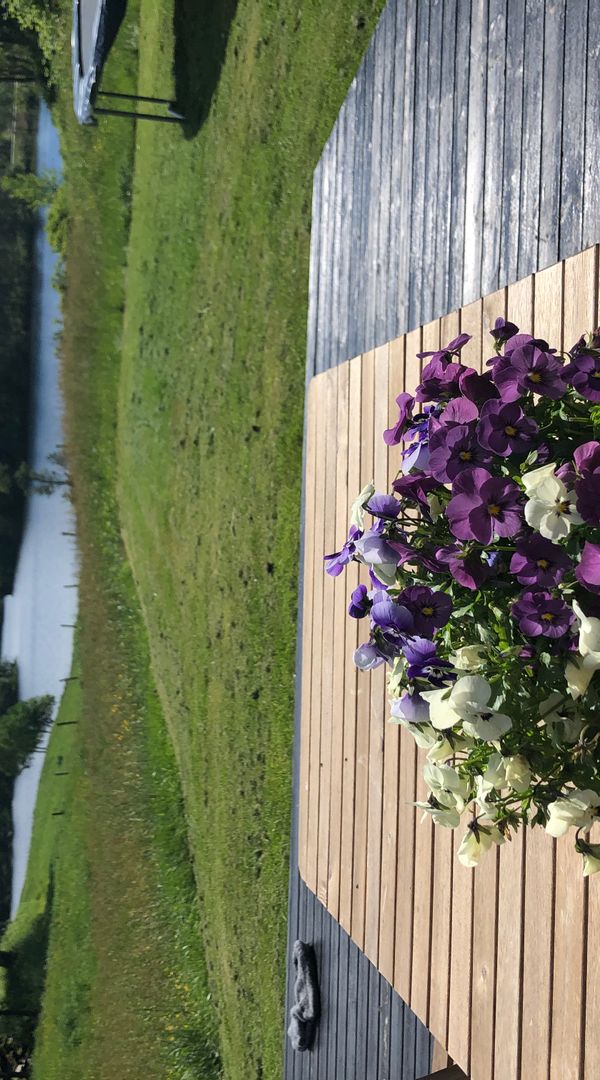 La maison de Synnøva