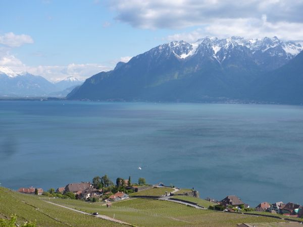 Maison de charme dans les vignes de Lavaux / lac Léman / Suisse