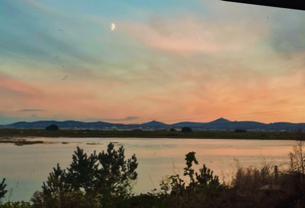 La maison de Pat and Dee with Jenni Ciara and Philip