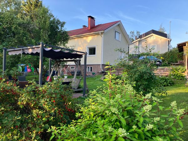 Countryside in the town