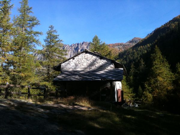 Marcello's house