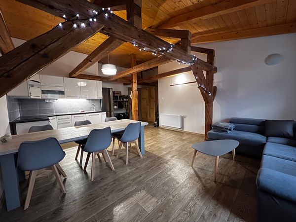 Charming mountain appartment in Jizerské/ Krkonoše mountains